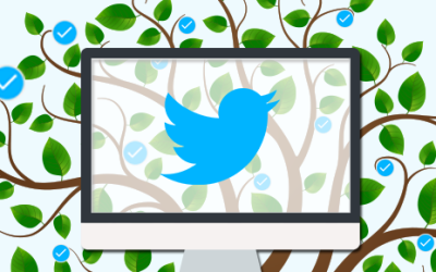 Don’t Buy Followers: How To Grow Your Twitter Followers Organically